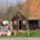 De Doorloopweide